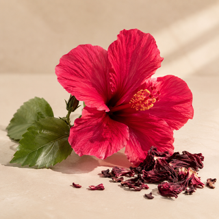 Hibiscus