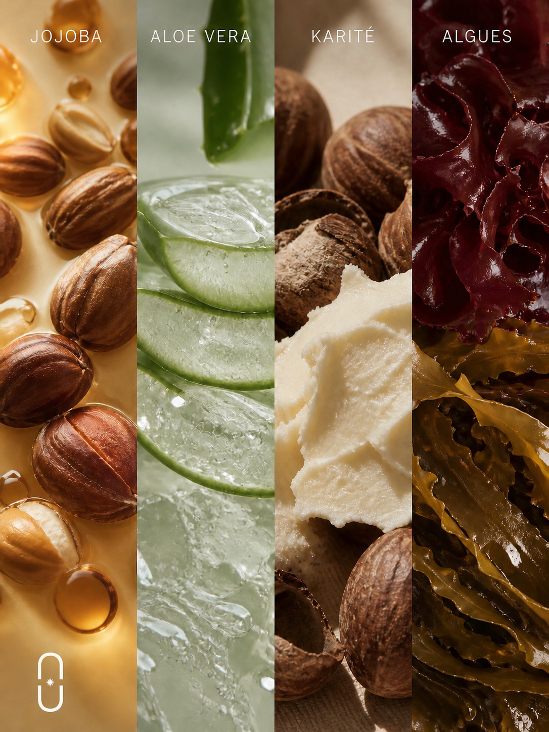 collage d’ingrédients naturels en cosmétique incluant jojoba, aloe vera, beurre de karité et algues utilisés pour hydrater, nourrir et protéger la peau