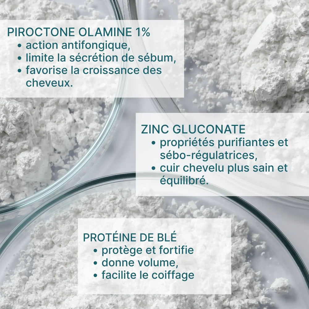 Actifs du shampooing antipelliculaire Less is More avec piroctone olamine 1%, gluconate de zinc et protéines de blé.