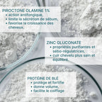 Actifs du shampooing antipelliculaire Less is More avec piroctone olamine 1%, gluconate de zinc et protéines de blé.