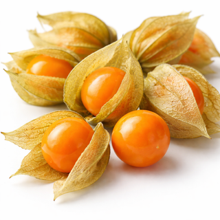 Extrait de physalis