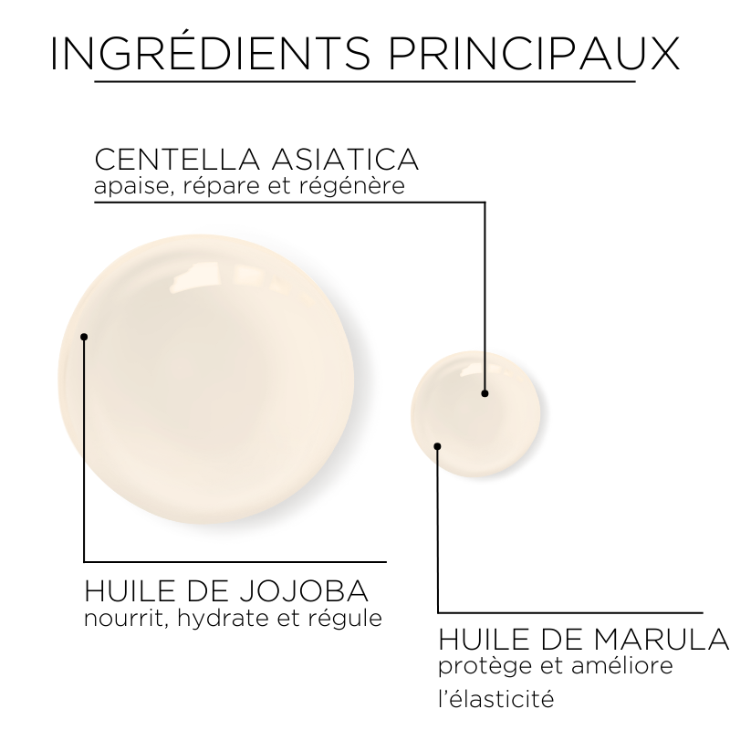 Ingrédients clés de l’huile démaquillante légère SKIN1004, avec centella asiatica et huiles végétales pour nettoyer la peau en douceur.
