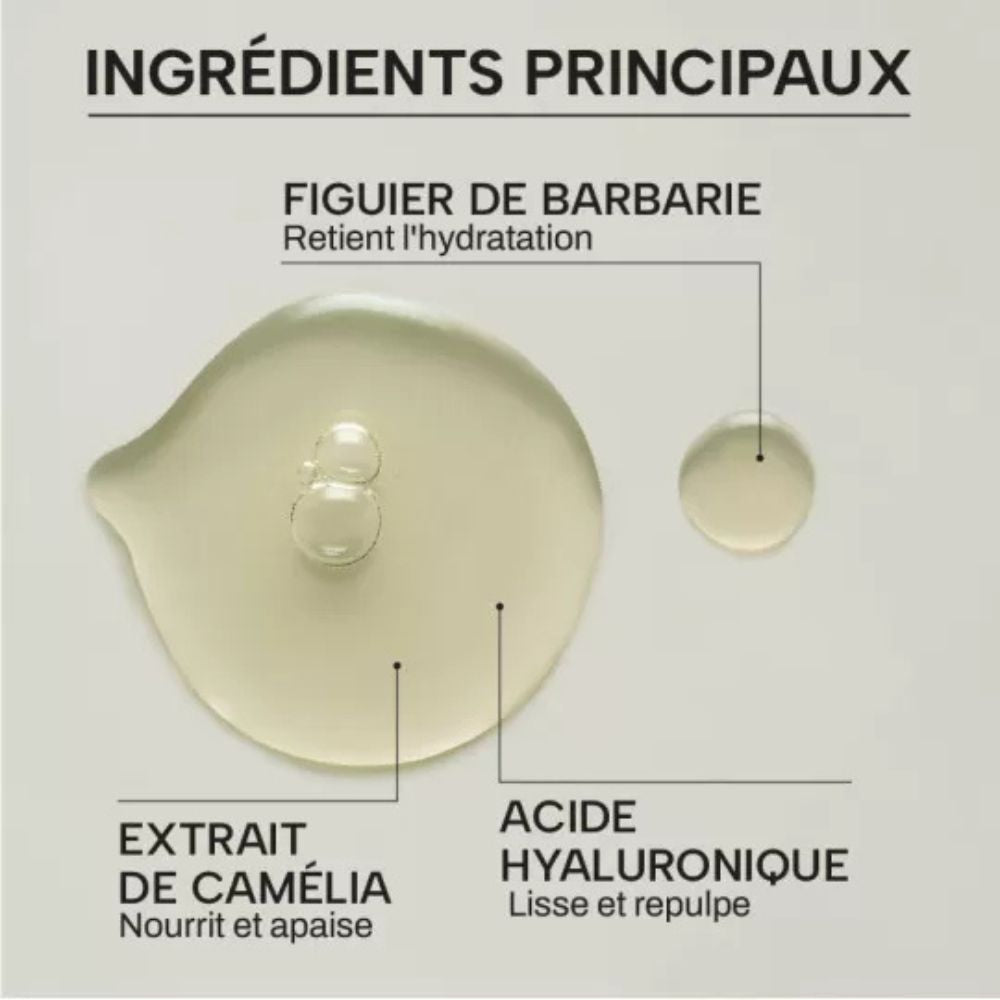 Visuel d’ingrédient principal Whamisa Cactus Bouncy, sérum repulpant au figuier de Barbarie, avec texture cosmétique claire sur fond clean beauty, utilisé pour illustrer les ingrédients clés du produit.